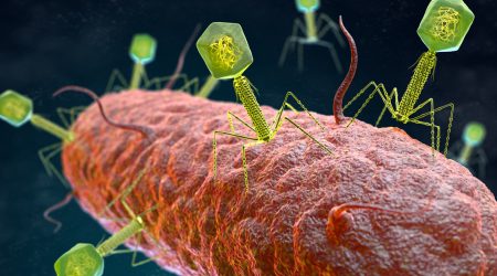 illustration of the Bacteriophage Virus that infects and replicates within a bacterium. 3D illustration